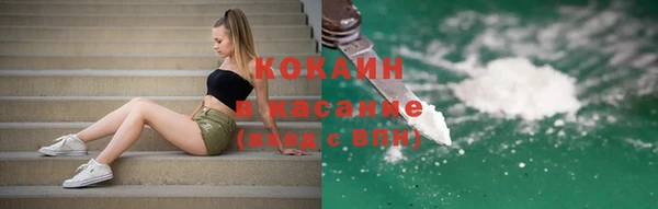 сатива Алзамай