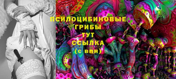 сатива Алзамай